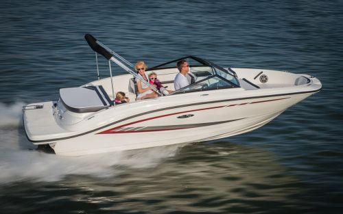 Sea Ray SPX 190 (2016) - Test Video Video